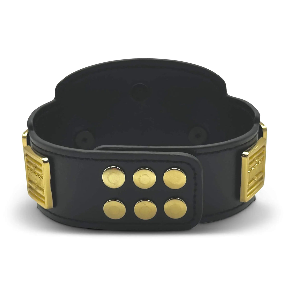 Custom MINI Championship Belt