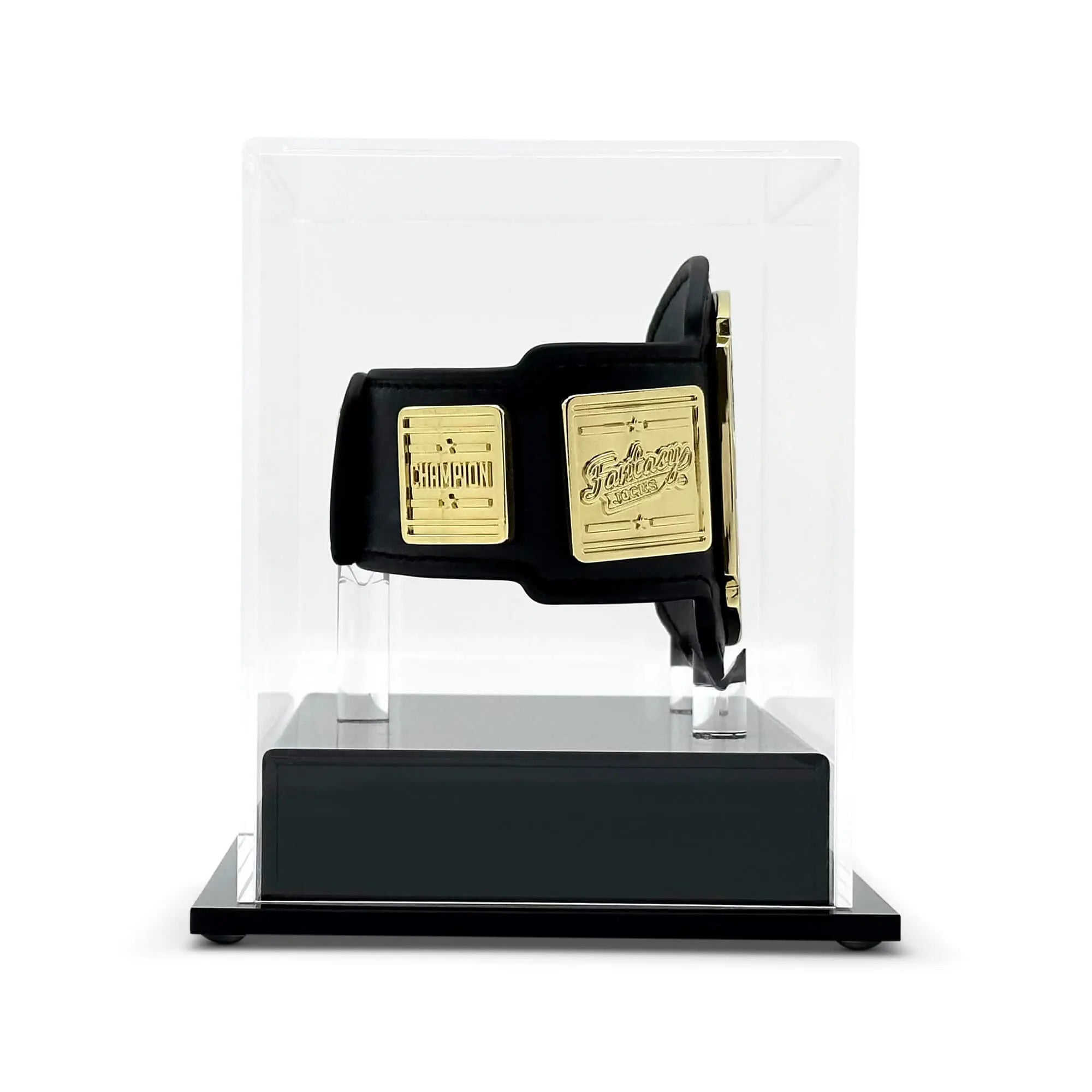 Mini-Belt Display Case