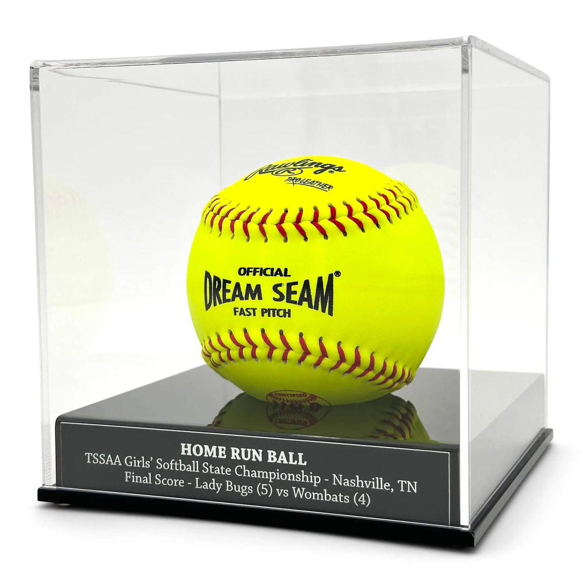 Softball Display Case - FantasyJocks