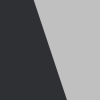 Black/Silver