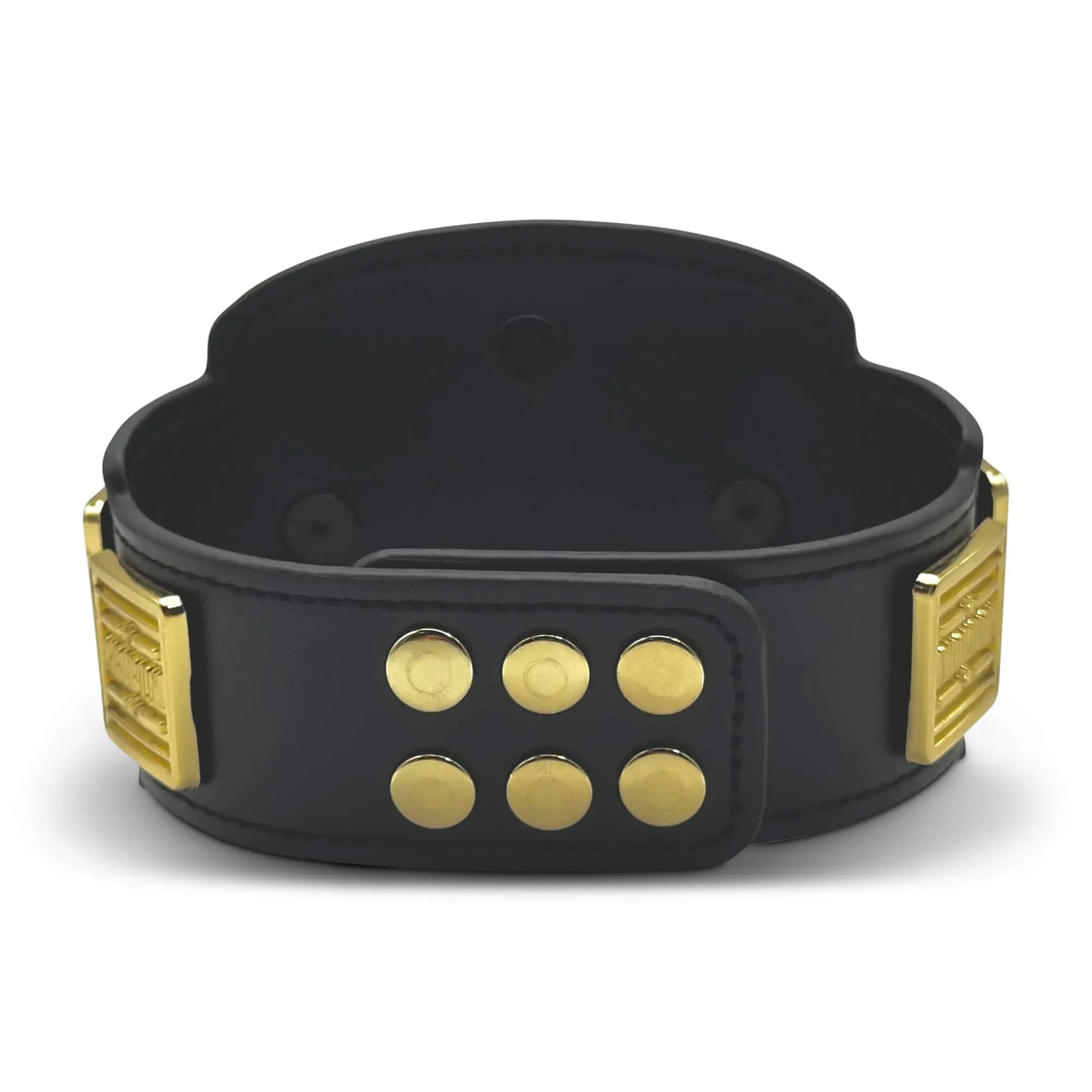 Custom MINI Championship Belt