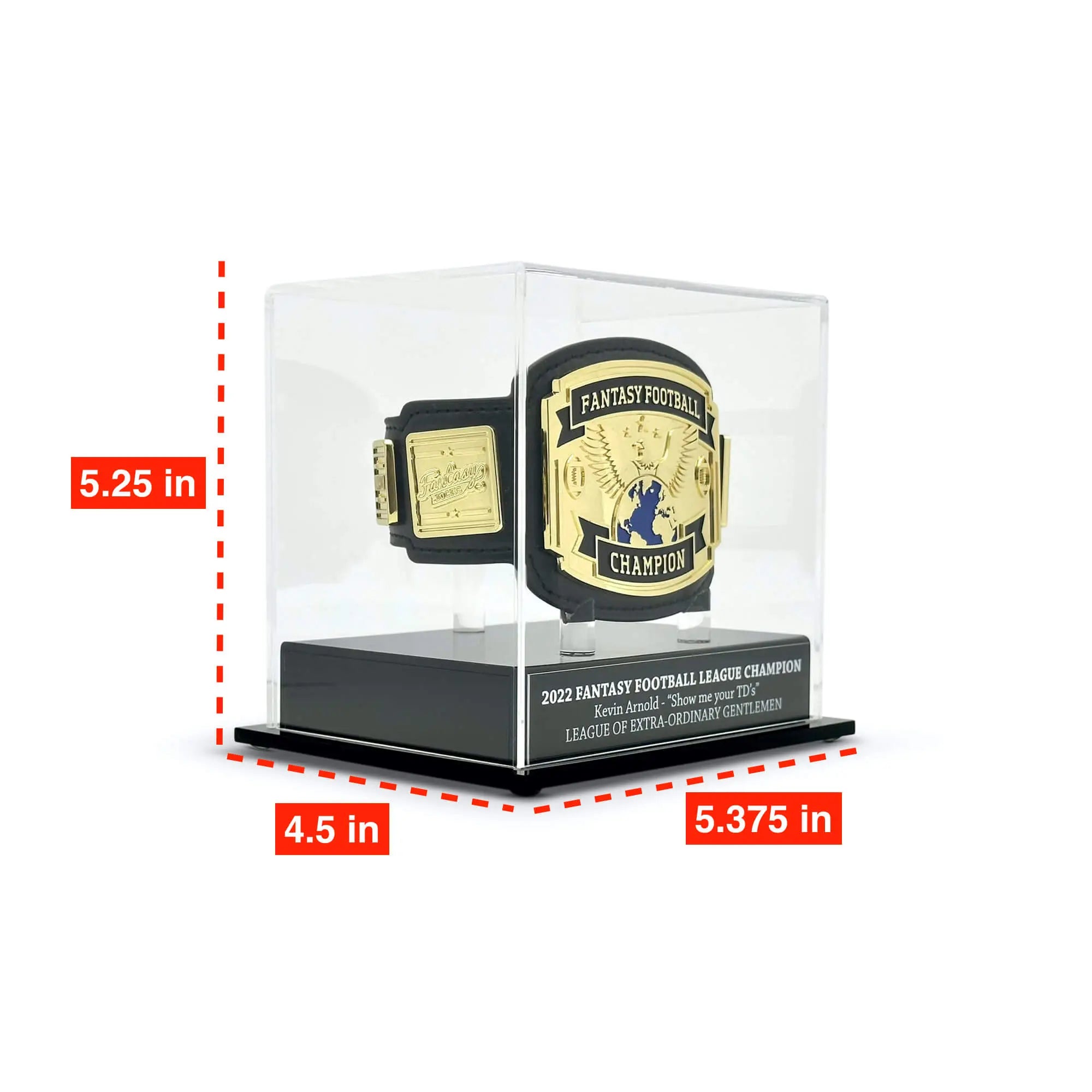 Mini-Belt Display Case